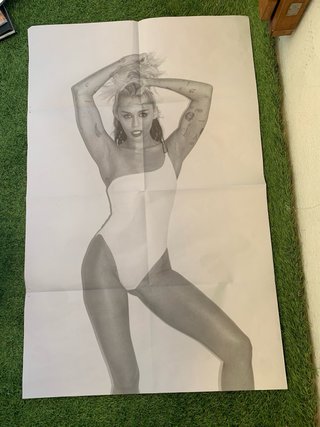 Vinilo Miley Cyrus Endless Summer Vacation