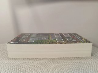 Libro Todo esto te daré