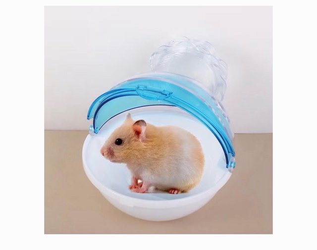 Bañera arena hámster pequeño