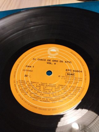 Vinilo Epic 2 - El Disco de Oro