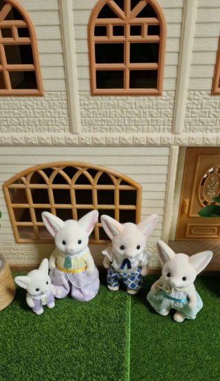Zorro del Desierto Sylvanian Families Ed. Especial