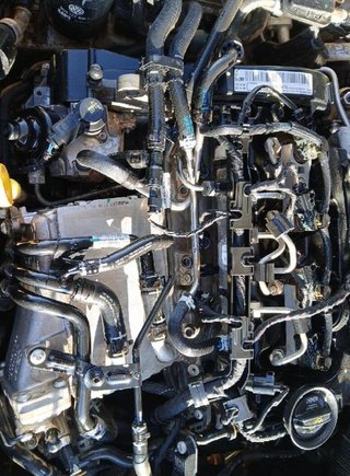 Motor completo seat clh leon 1.6 tdi otolp1041956