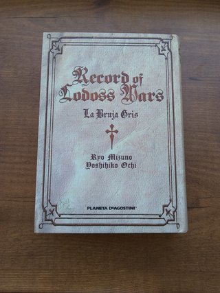 (SI ENVIO) LA GUERRA DE LODOSS LA BRUJA GRIS