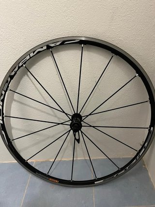 Ruedas Campagnolo Aurus
