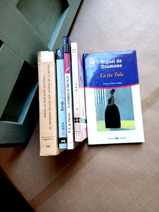Lotes de literatura española