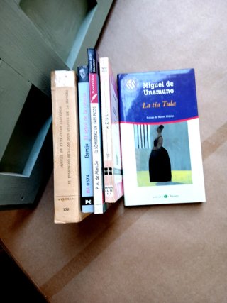 Lotes de literatura española
