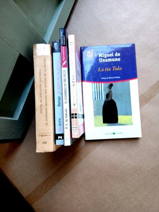 Lotes de literatura española