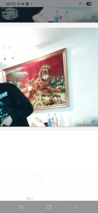 Marco con tapiz de leones y plantas