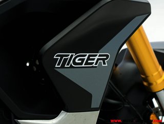 TRIUMPH TIGER 900 RALLY PRO ¿A2?