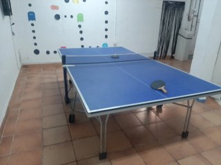Mesa Ping Pong Pangea 700i Limited