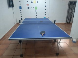 Mesa Ping Pong Pangea 700i Limited