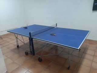 Mesa Ping Pong Pangea 700i Limited