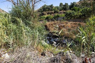 Terreno en venta en Pinar (El)
