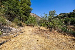 Terreno en venta en Pinar (El)
