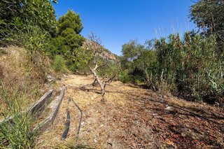 Terreno en venta en Pinar (El)