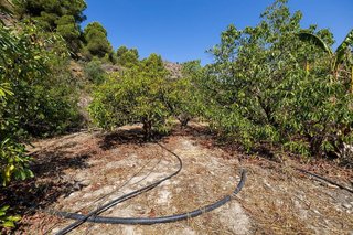 Terreno en venta en Pinar (El)