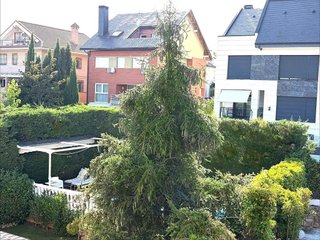Casa pareada en alquiler en Zona Pueblo en Pozuelo de Alarcón