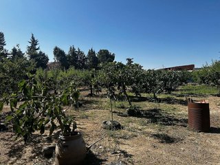 Terreno en venta en Casarrubios del Monte pueblo en Casarrubios del Monte