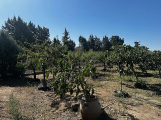 Terreno en venta en Casarrubios del Monte pueblo en Casarrubios del Monte