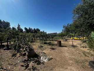 Terreno en venta en Casarrubios del Monte pueblo en Casarrubios del Monte
