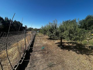 Terreno en venta en Casarrubios del Monte pueblo en Casarrubios del Monte
