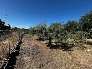 Terreno en venta en Casarrubios del Monte pueblo en Casarrubios del Monte