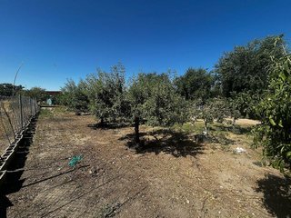 Terreno en venta en Casarrubios del Monte pueblo en Casarrubios del Monte