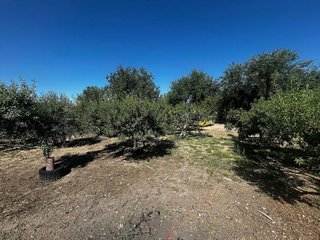 Terreno en venta en Casarrubios del Monte pueblo en Casarrubios del Monte