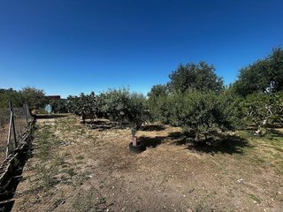 Terreno en venta en Casarrubios del Monte pueblo en Casarrubios del Monte