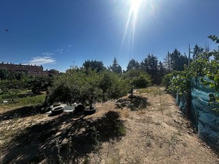 Terreno en venta en Casarrubios del Monte pueblo en Casarrubios del Monte
