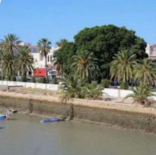 Bar en venta en Centro en Puerto de Santa María (El)