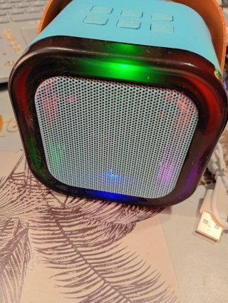 Cassa Bluetooth con 2 Microfoni
