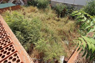 Terreno en venta en Torrelaguna