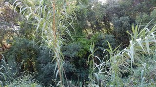 Terreno en venta en Castellnou - Can Mir - Sant Muç en Rubí