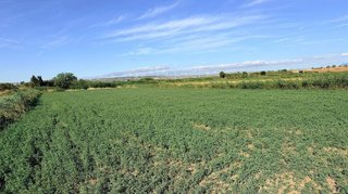 Terreno en venta en Villafranca de Ebro