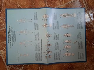 El cuerpo humano 1