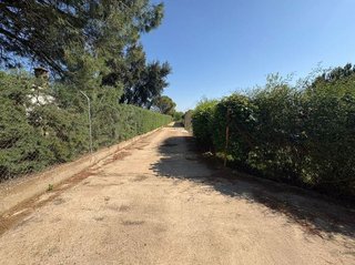 Terreno en venta en Olivenza