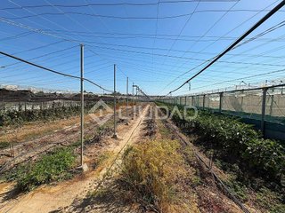 Terreno en venta en Las Palmeras-Dehesilla en Sanlúcar de Barrameda