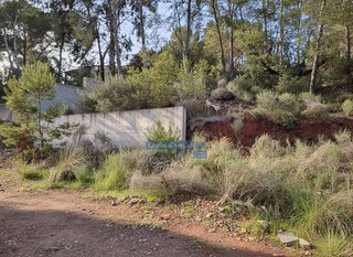 Solar en venta en Monteamor - La Carrasca - El Peucal en Náquera