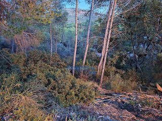 Solar en venta en Monteamor - La Carrasca - El Peucal en Náquera