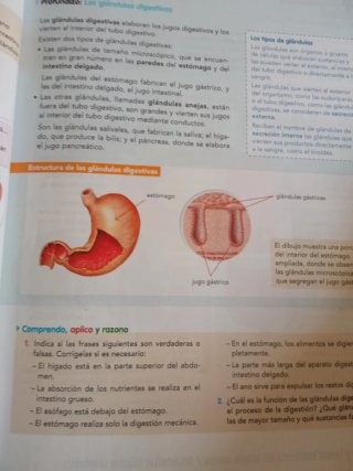 Conocimiento del medio natural, social y cultur...