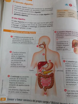 Conocimiento del medio natural, social y cultur...