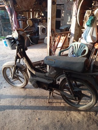 Derbi Variant