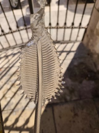 Pezzi ricambio vetro Murano