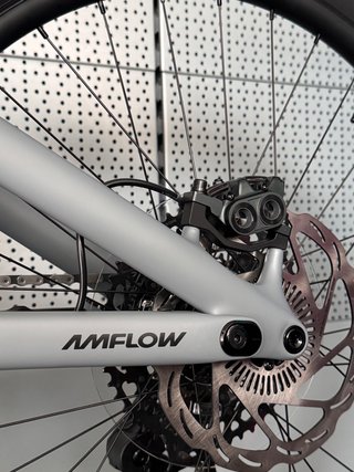 Bicicleta Eléctrica Amflow PR Carbon PRO T-L