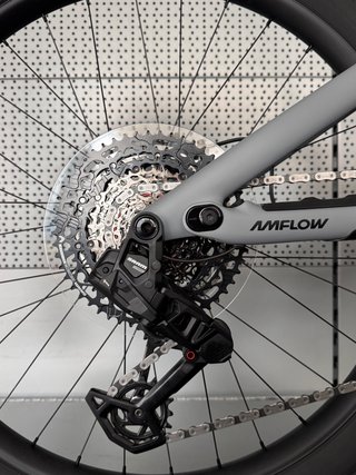 Bicicleta Eléctrica Amflow PR Carbon PRO T-L