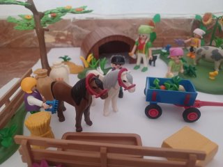 Playmobil Granja