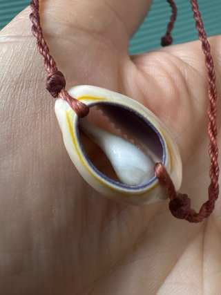 Braccialetti corda intrecciata con conchiglie