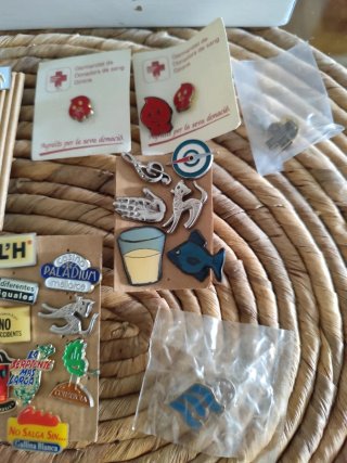Lote de pins variados