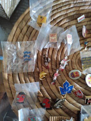 Lote de pins variados